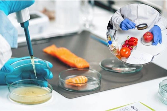 AB'nin 'Gıda Güvenliği'ne Türkiye'de katıldı... Gıda etiketi okuma alışkanlığı teşvik edilecek