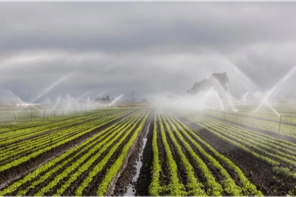 DSİ'den yapay zekâ destekli hamle