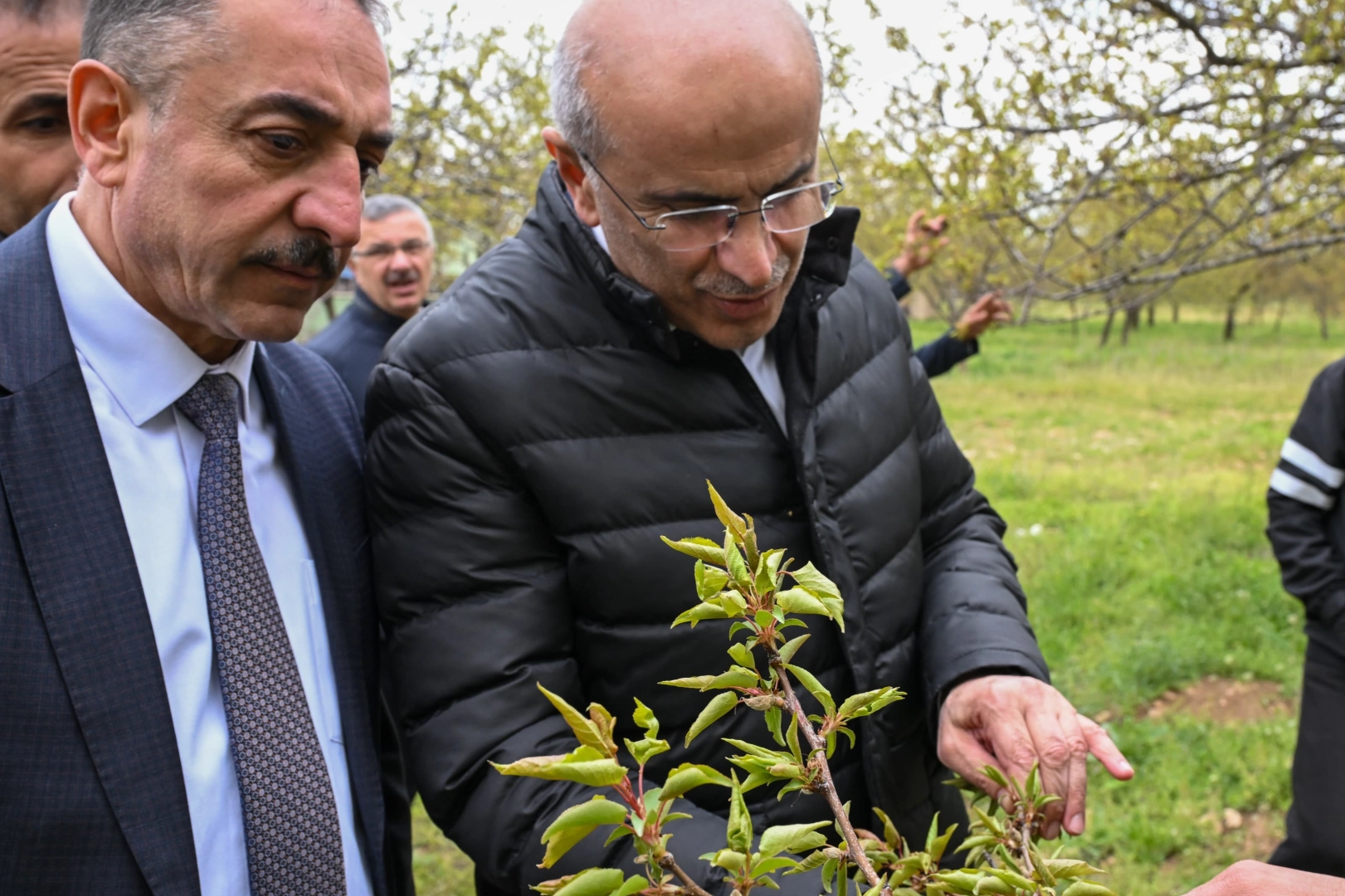 Malatya'da zirai dondan etkilenen çiftçilere ziyaret