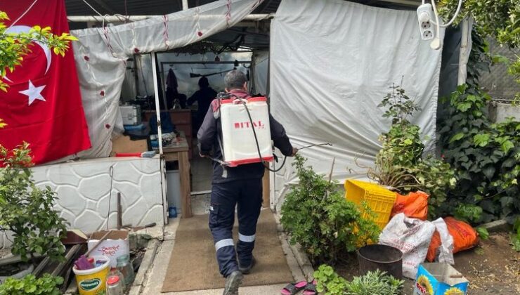 Hatay’da kapsamlı ilaçlama