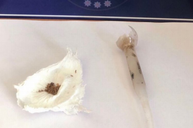 Edirne’de Keşan İlçe Emniyet Müdürlüğü’nün son üç günde düzenlediği uyuşturucu