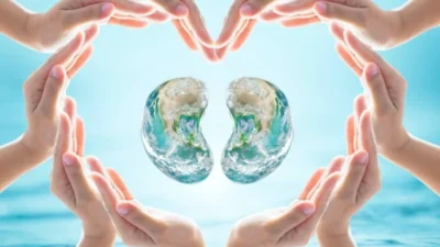 Böbrekler, çeşitli günlük alışkanlıklardan zarar görmeye yatkın karmaşık organlardır. İç