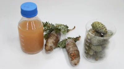 Üst solunum yolları rahatsızlıklarını giderdiği düşüncesiyle halk arasında talebin arttığı