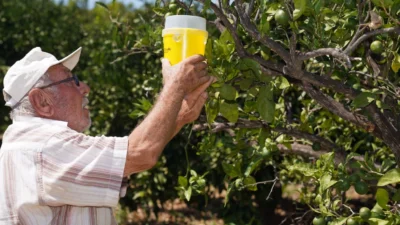 İzmir Büyükşehir Belediyesi, çiftçiyi her alanda desteklemeyi sürdürüyor. Türkiye’nin ekonomik