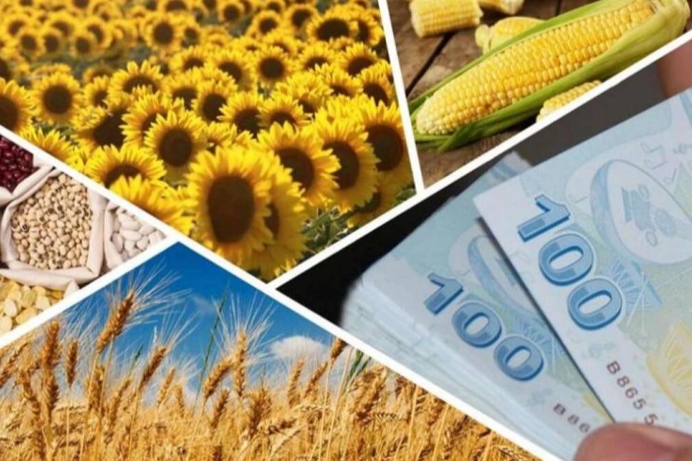 Tarım ve Orman Bakanlığı, 4 milyar 364 milyon 755 bin