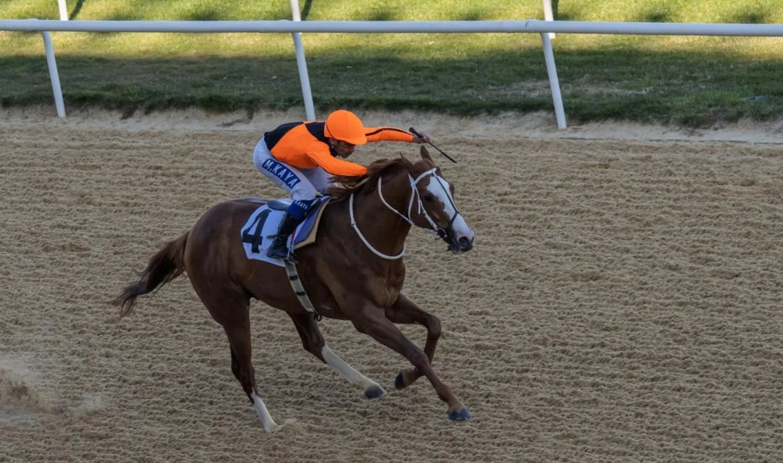 İzmir Büyükşehir Belediye Başkanlığı Koşusu Buca Şirinyer Hipodromu’nda yapıldı. İzmir