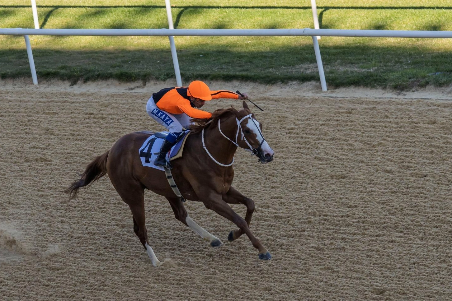 İzmir Büyükşehir Belediye Başkanlığı Koşusu Buca Şirinyer Hipodromu’nda yapıldı. İzmir