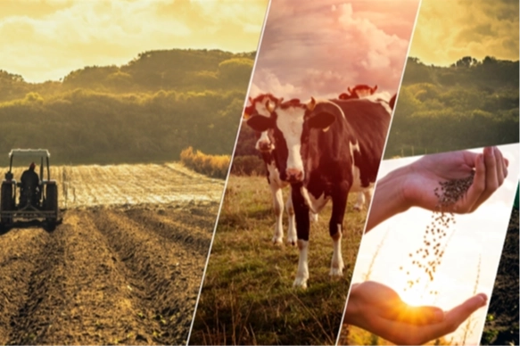 5 milyar 602 milyon 227 bin 506 lira tarımsal destekleme