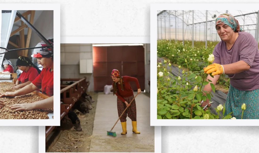 Tarım ve Kırsal Kalkınmayı Destekleme Kurumu (TKDK) 2025’te çıkılacak çağrılara