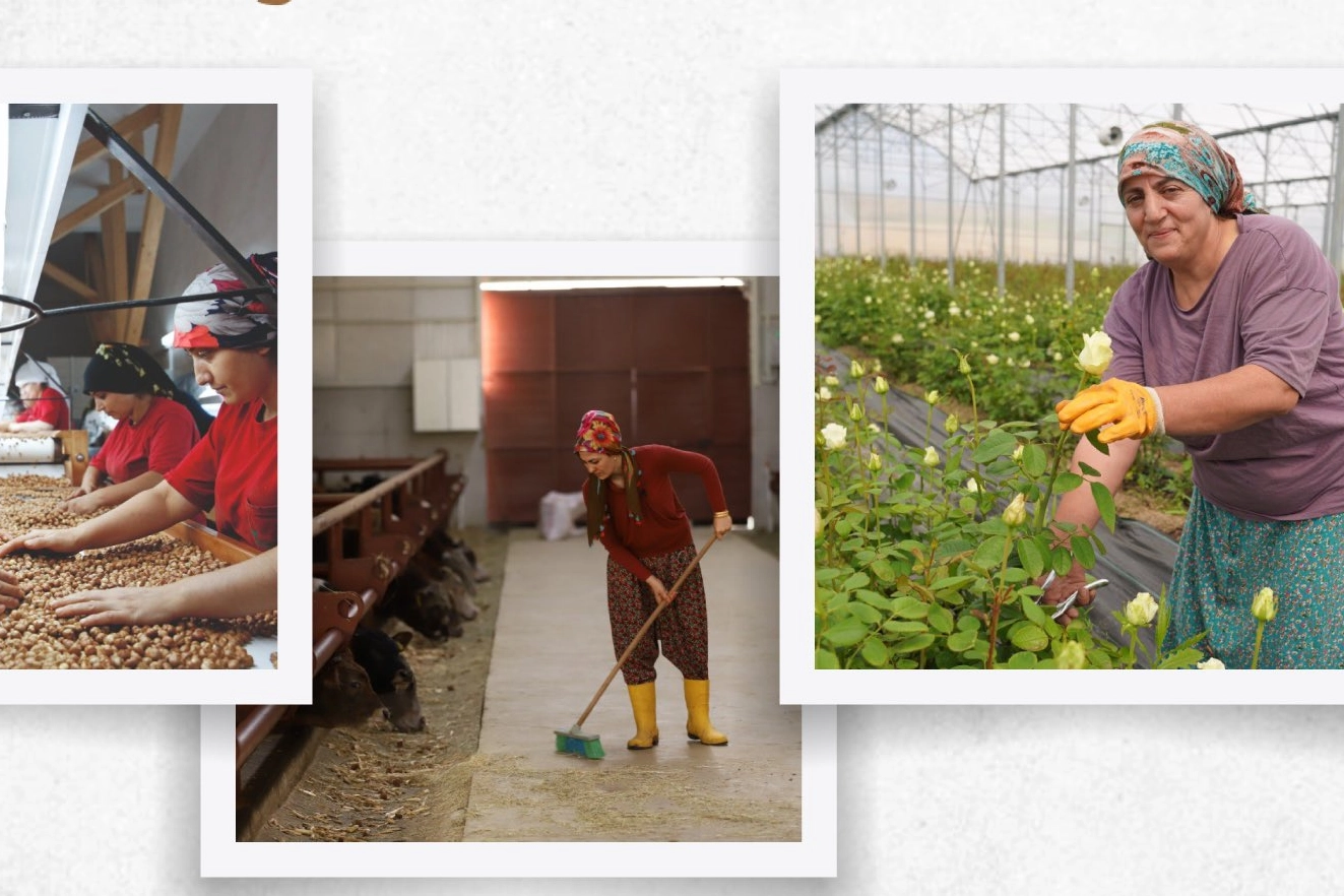 Tarım ve Kırsal Kalkınmayı Destekleme Kurumu (TKDK) 2025’te çıkılacak çağrılara