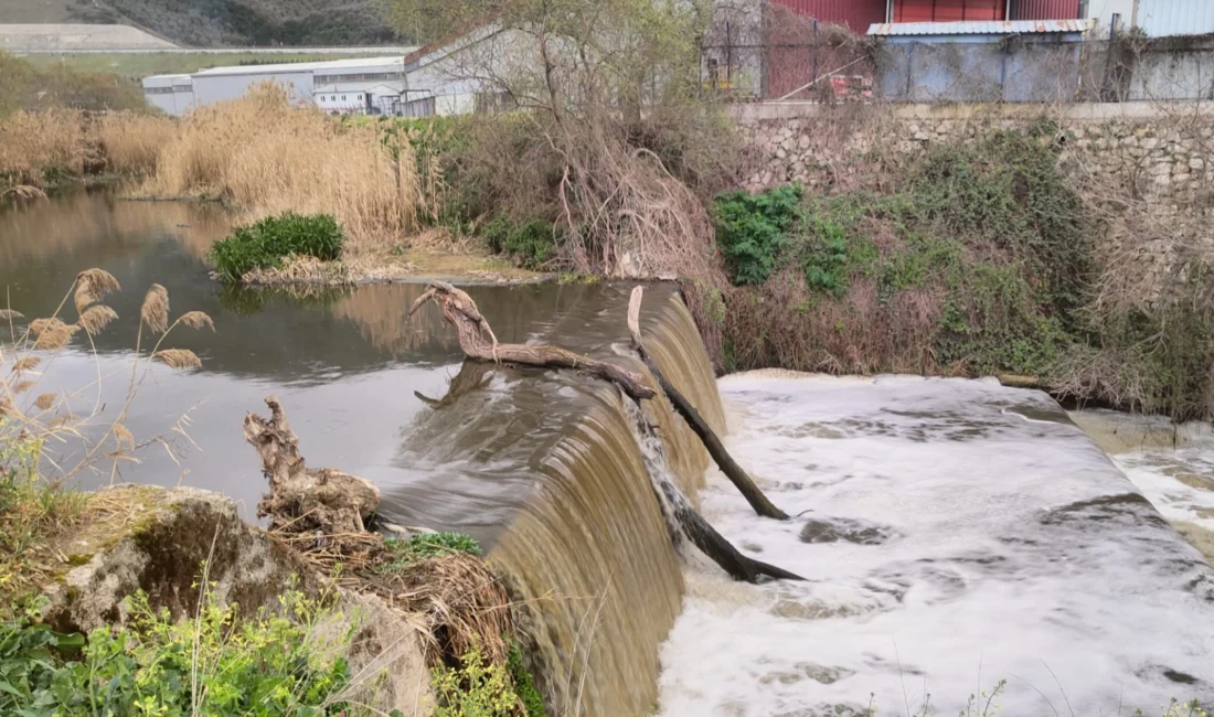 Bursa’da Gemlik Kent Konseyi Başkanı Sedat Akkuş, sanayi atıklarının Karsak