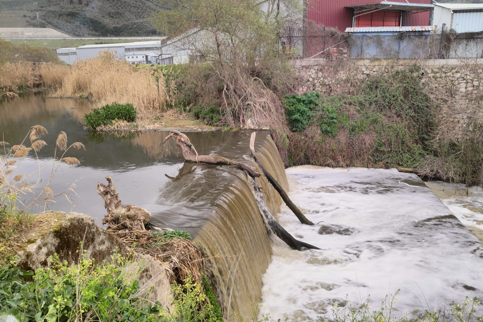 Bursa’da Gemlik Kent Konseyi Başkanı Sedat Akkuş, sanayi atıklarının Karsak