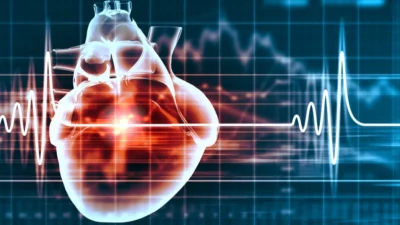 Kalp damarlarındaki tıkanma ve daralma kalp krizini etkileyen en önemli