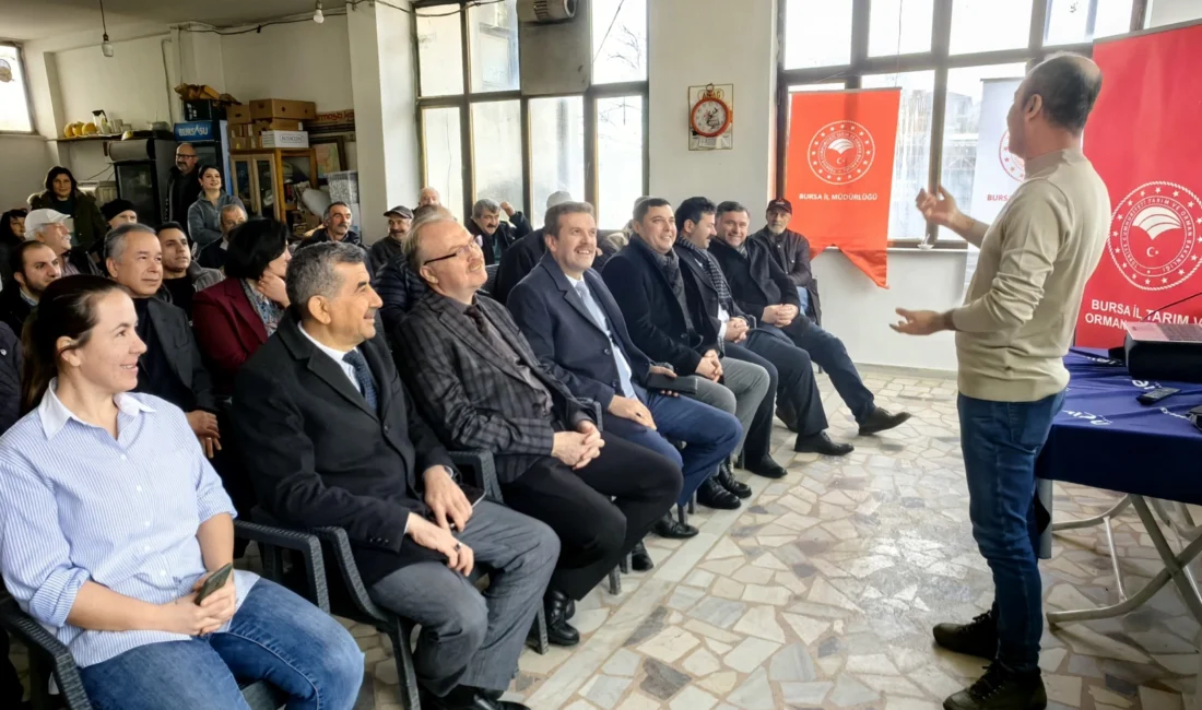 Bursa’nın Mudanya ilçesinde zeytin üretimi ve kalitesinin arttırılması, zeytin üreticilerinin