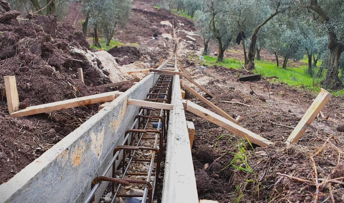 Bursa Gemlik Belediyesi, Kurtul Mahallesi’nde inşa ettiği Patili Canlar Rehabilitasyon