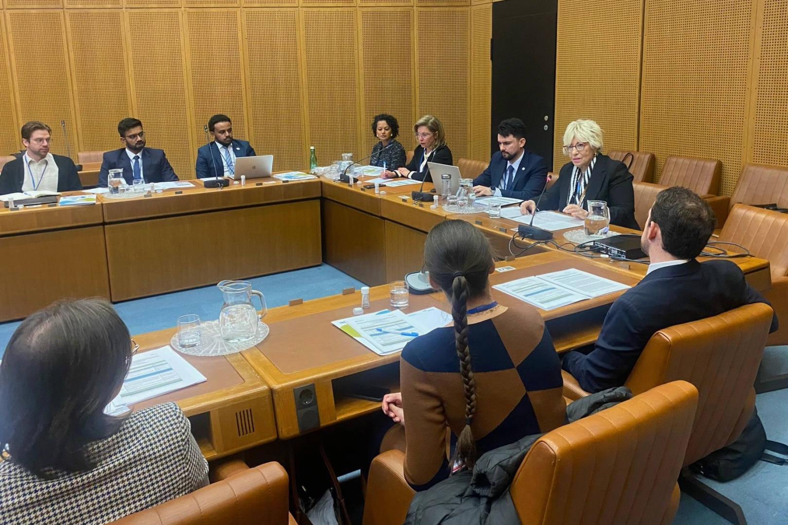 Üsküdar Üniversitesi Rektör Yardımcısı Prof. Dr. Sevil Atasoy, üyesi ve