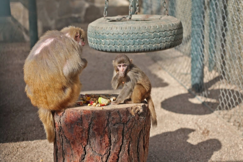 Antalya Büyükşehir Belediyesi Şehirlerarası Otobüs Terminalinde 26 Aralık tarihinde bir