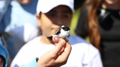 Antalya Büyükşehir Belediyesi çocukların kuş göçlerini ve doğal yaşamlarını öğrenebilmesi