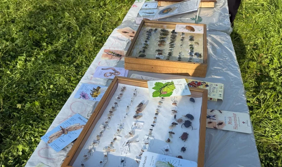 Bursa Osmangazi Belediyesi ve Bilim ve Amatör Astronomi Kulübü (BAAK)