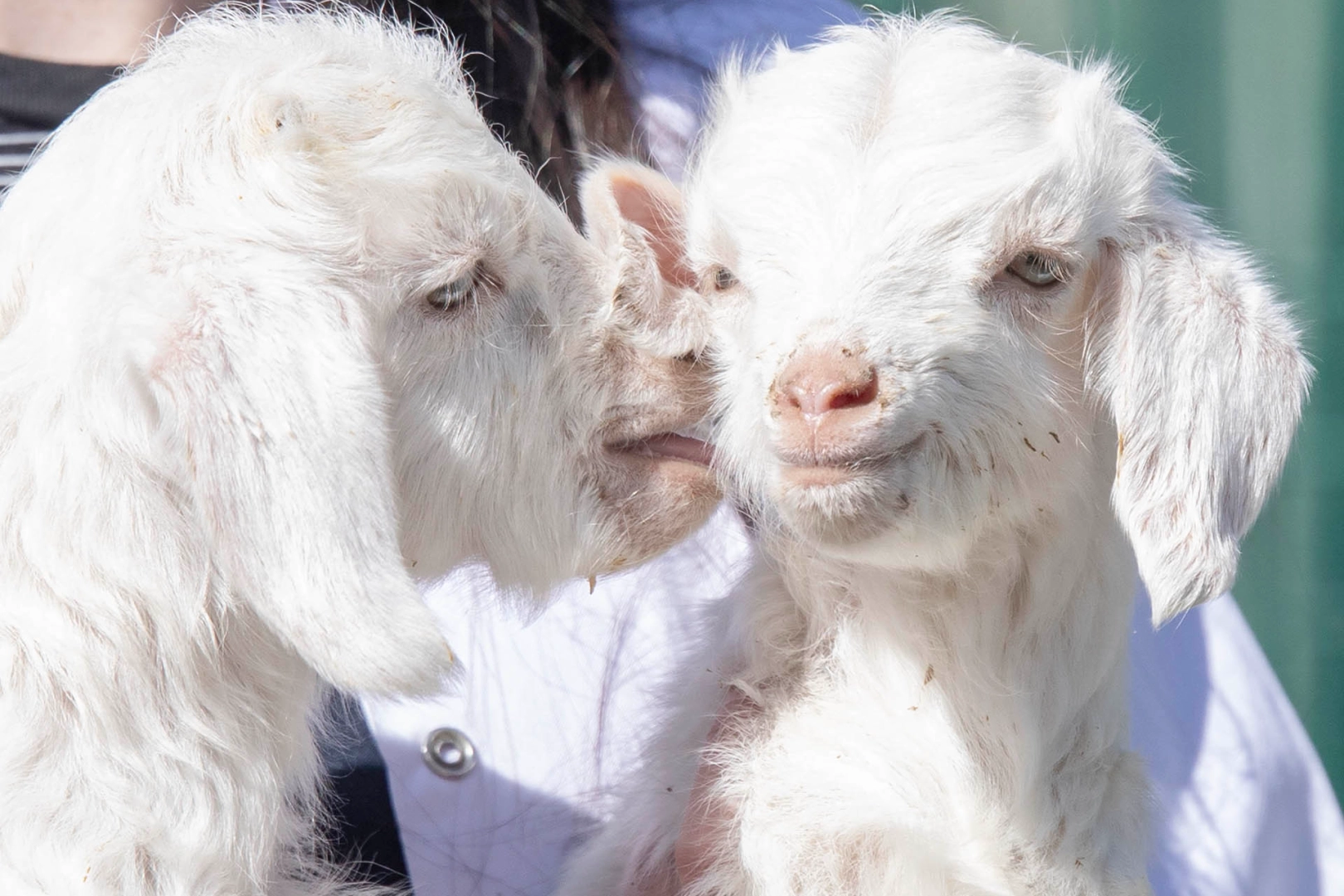 Kalaba Kent Meydanı Ihlamur Vadisi’nde bulunan Keçiören Belediyesi Doğal Yaşam
