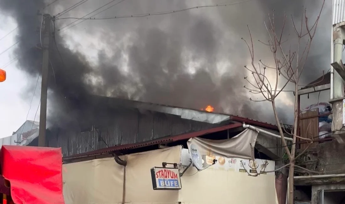 Düzce’de Düzey Kültür Mahallesi eski sanayi sitesi Akar Stadyum Sokak’ta
