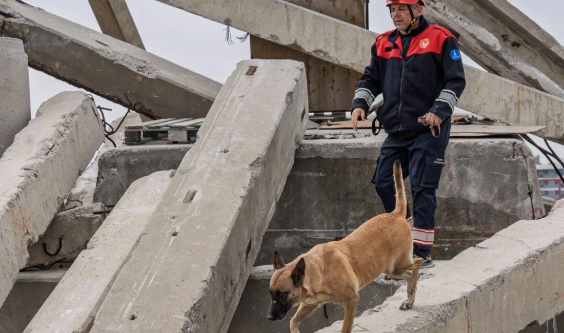 İzmir Büyükşehir Belediyesi İtfaiye Dairesi Başkanlığı’nın arama kurtarma köpekleri, afetlerde