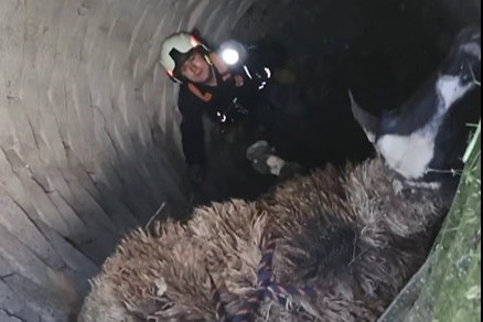 Manisa’nın Akhisar İlçesi’ne bağlı Hamidiye Mahallesi’nde, kuyuya düşen bir koyun,