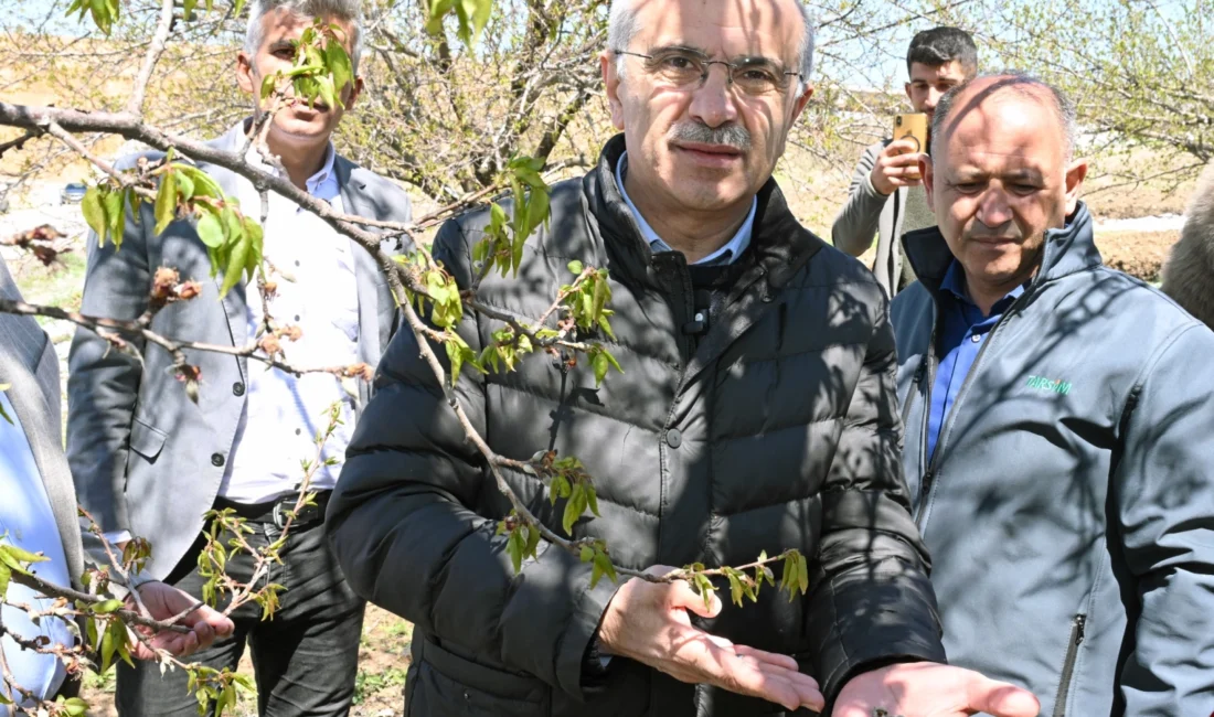 Malatya’da kar yağışı ve don nedeniyle zarar gören meyve bahçelerini