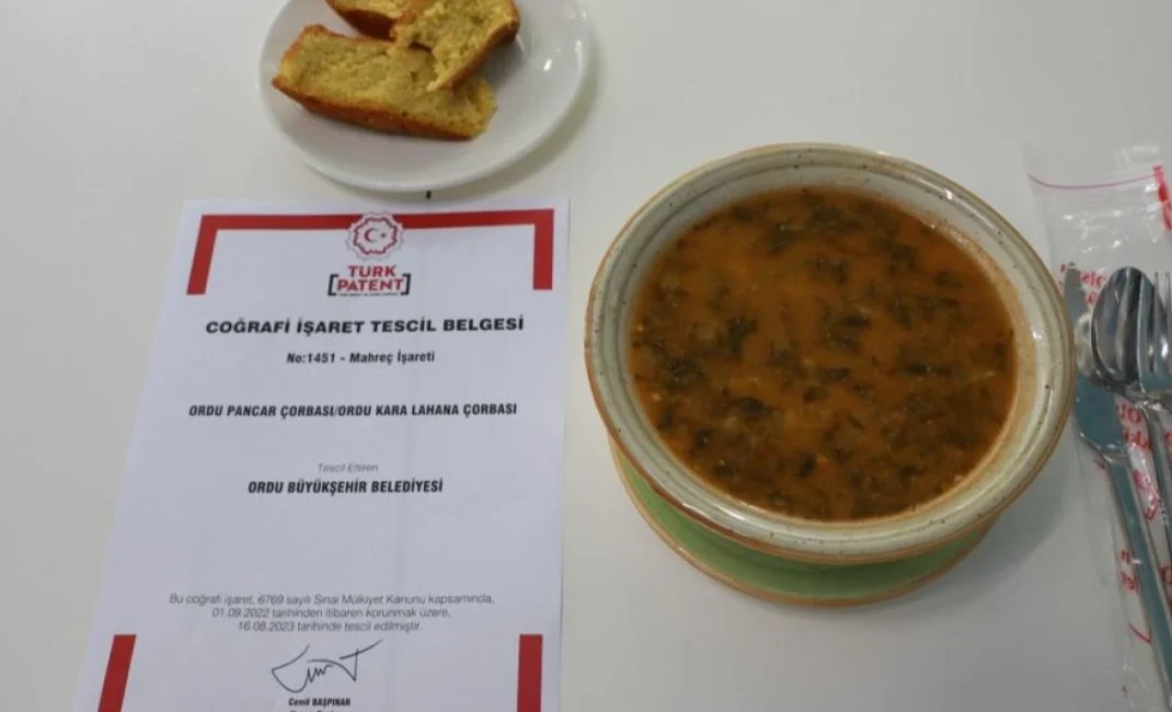 Ordu Büyükşehir Belediyesinin girişimleri ile yerli ve yabancı turistlerden gelen