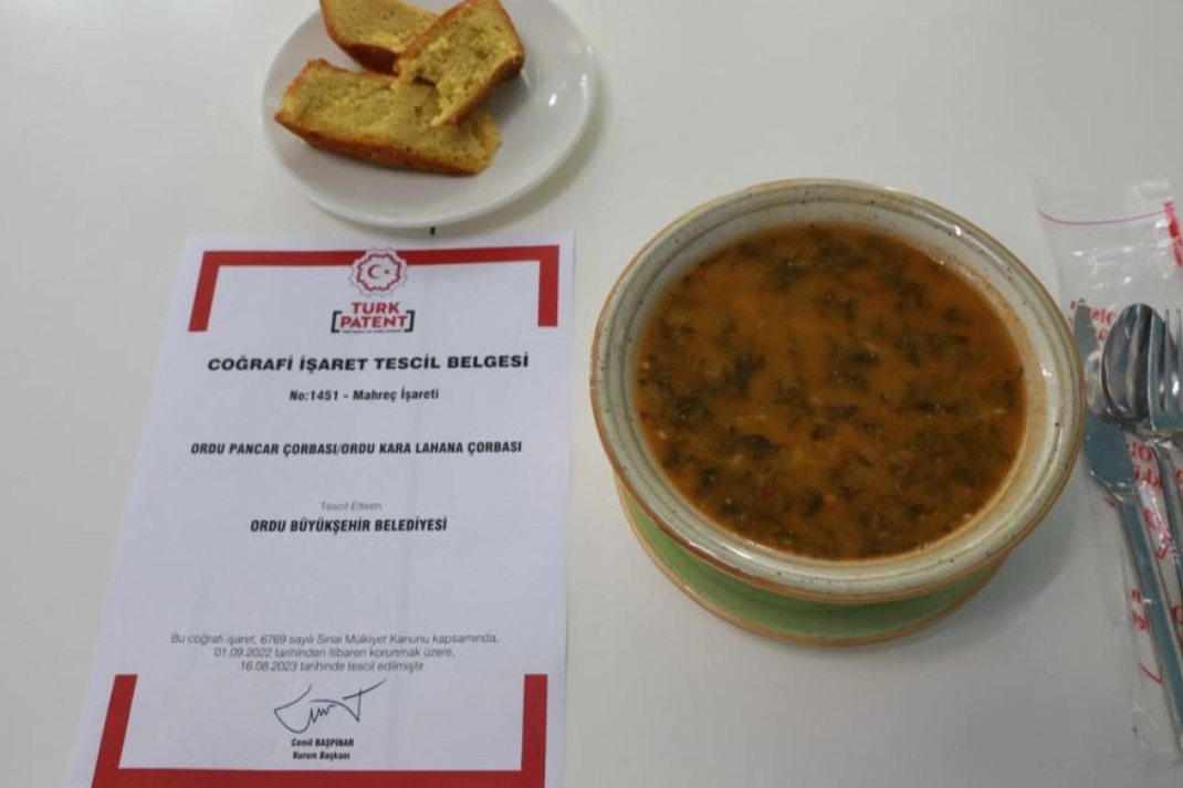 Ordu Büyükşehir Belediyesinin girişimleri ile yerli ve yabancı turistlerden gelen