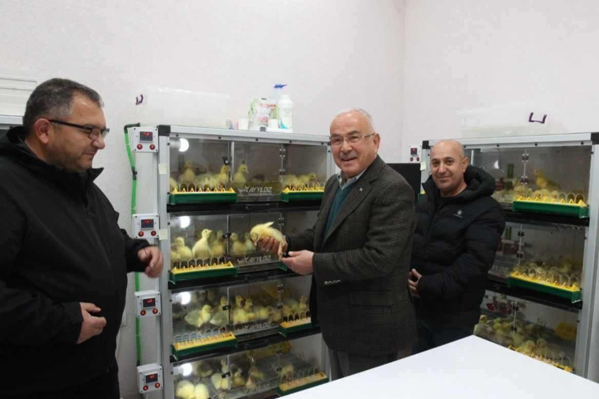 Ordu Büyükşehir Belediye Başkanı Dr. Mehmet Hilmi Güler’in 2019 yılında