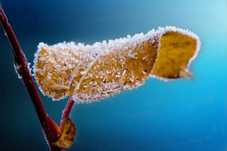 Tarım ve Orman Bakanlığı, 11-15 Nisan 2025 tarihleri arasında Türkiye’nin