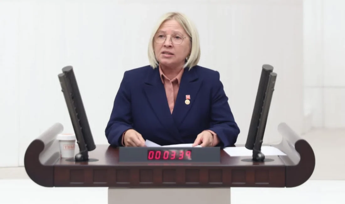 CHP Tekirdağ Milletvekili Nurten Yontar, Zorlu Enerji’nin rüzgâr santrali projesine