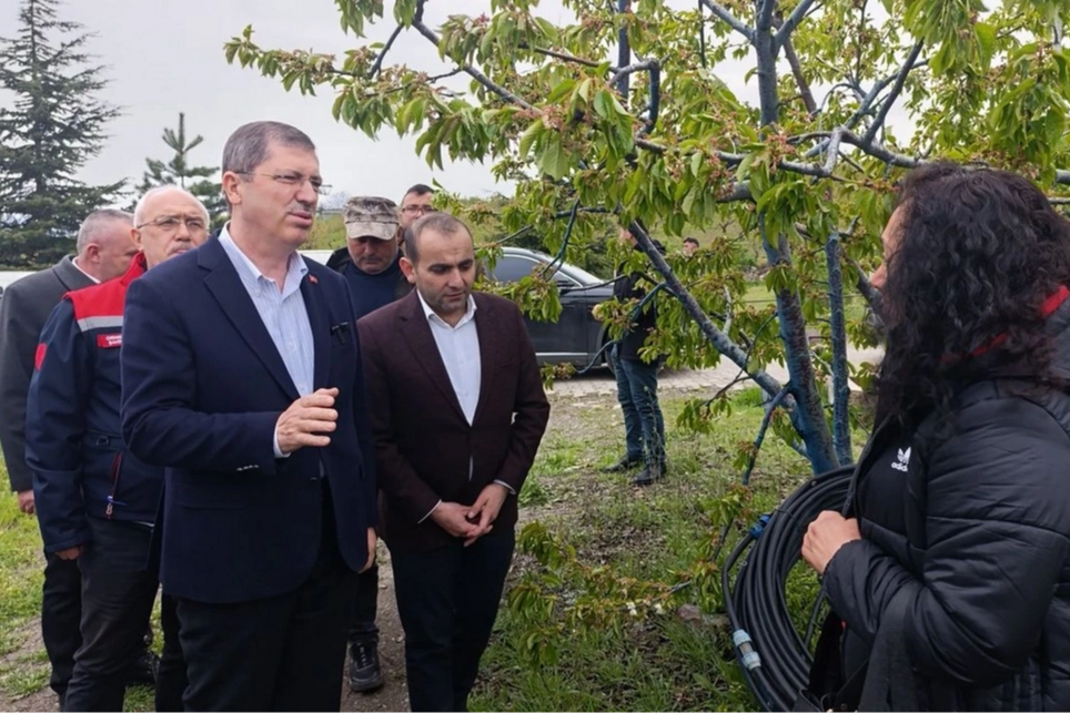 Tokat’ta zirai don felaketi 190 bin dönüm alanı etkiledi. AK