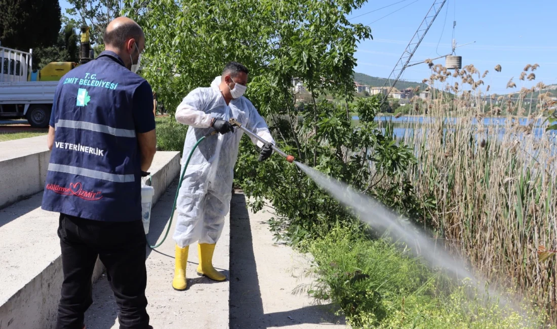 Kocaeli’de İzmit Belediyesi, yaz mevsimiyle birlikte artış gösteren sivrisinek, sinek