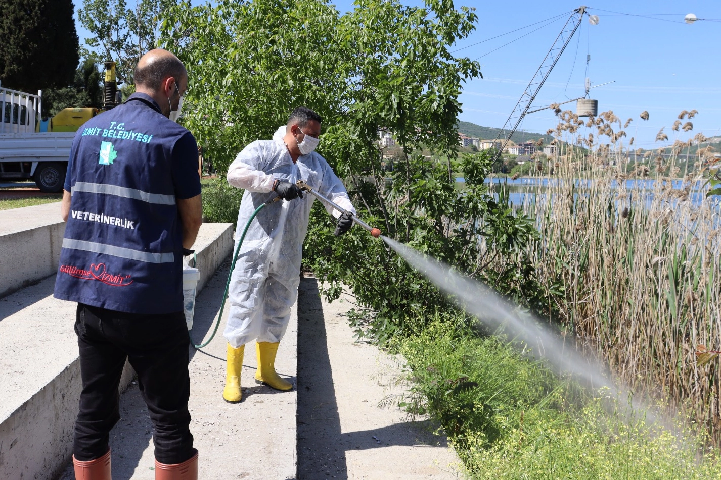 Kocaeli’de İzmit Belediyesi, yaz mevsimiyle birlikte artış gösteren sivrisinek, sinek