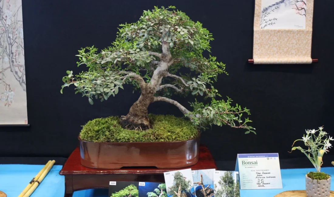 Doğaseverler ve sanat tutkunları Kocaeli Büyükşehir Belediyesi’nin ev sahipliği yaptığı