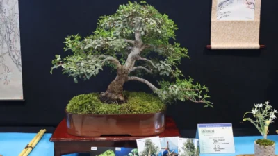 Doğaseverler ve sanat tutkunları Kocaeli Büyükşehir Belediyesi’nin ev sahipliği yaptığı