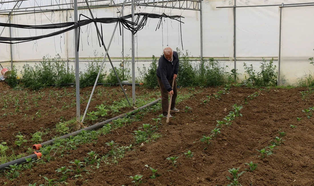 Kocaeli Büyükşehir Belediyesi, 512 metrekare alandan oluşan yüzde 50 hibeli