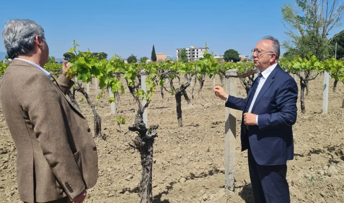 Manisa Büyükşehir Belediyesi, zirai don mağduru üreticilere hibe gübre desteğini