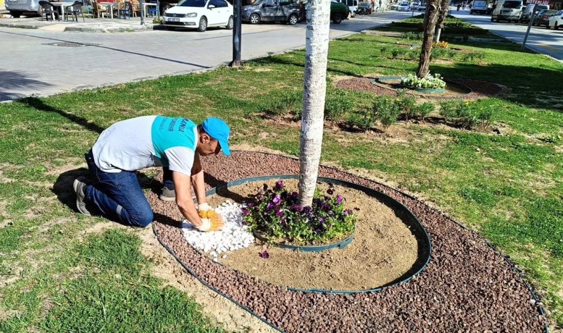 Manisa Büyükşehir Belediyesi, şehri daha estetik ve yeşil hale getirmek