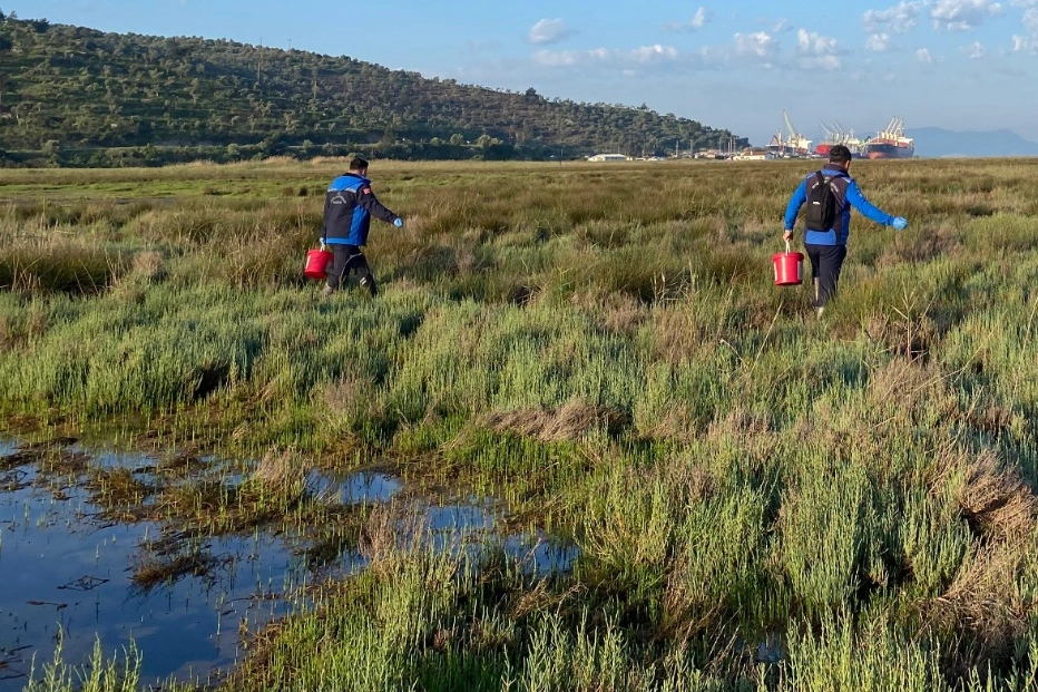 Muğla Büyükşehir Belediyesi ekipleri Milas ilçesi Güllük Mahallesi Dalyan bölgesindeki