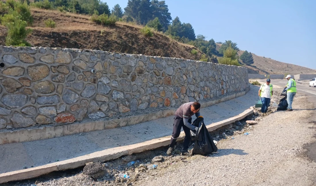 Bursa’da çıkan orman yangınlarına 196 araç ve 589 personelle müdahale