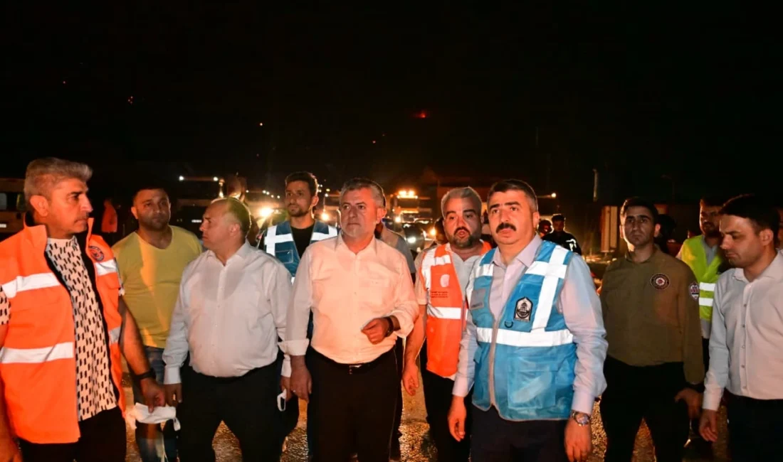 Bursa hafta sonu çıkan Kestel, Gürsü, Orhaneli ve Harmancık orman
