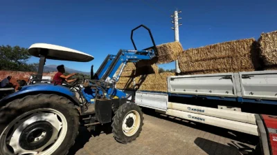 İzmir Büyükşehir Belediye Başkanı Dr. Cemil Tugay’ın Ödemiş’te yangından zarar
