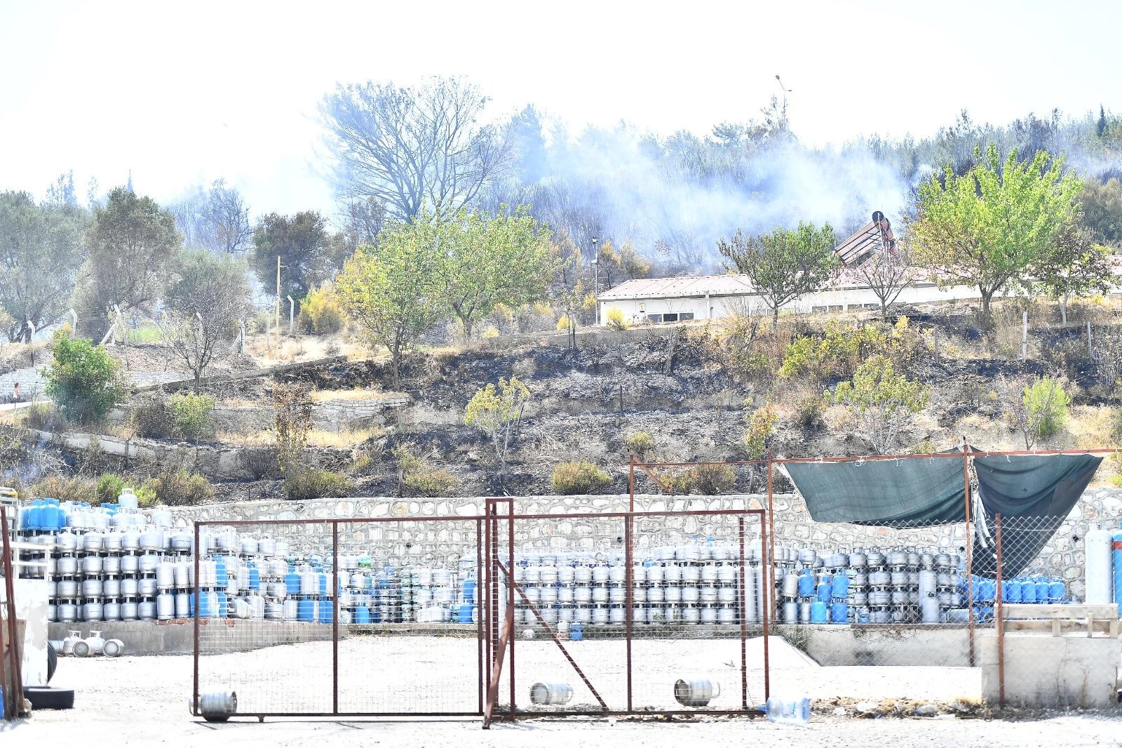 İzmir Büyükşehir Belediyesi İtfaiye Dairesi Başkanlığı ekipleri, bugün iki ilçede