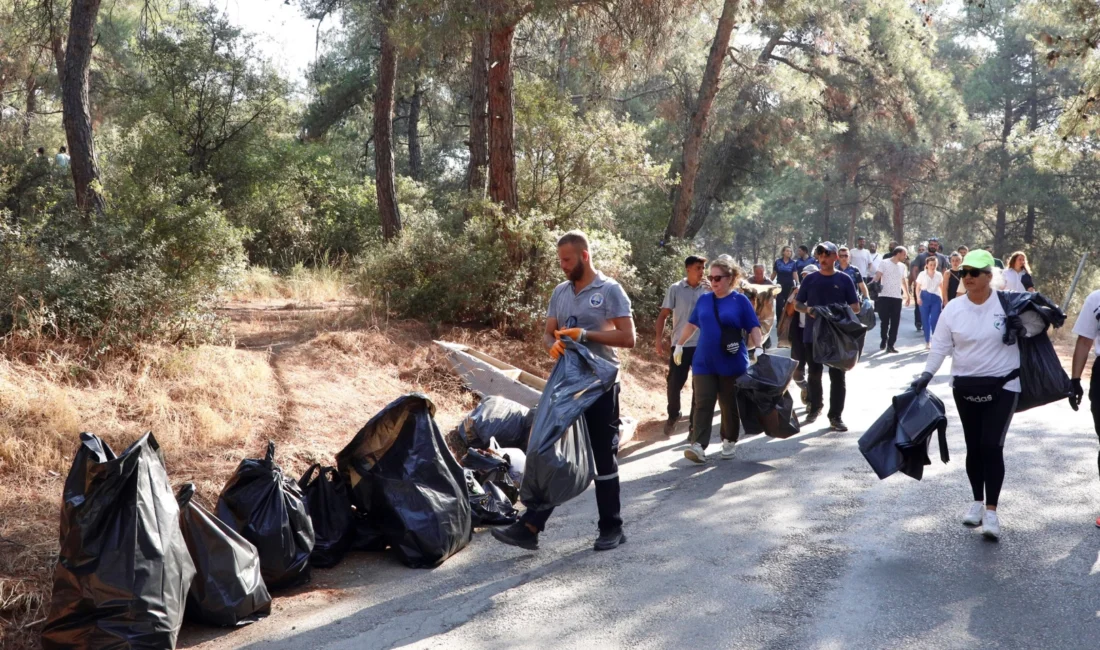 Bursa’da Mudanya Belediyesi, Altıntaş Mahallesi’nde orman yangını riskini azaltmak için