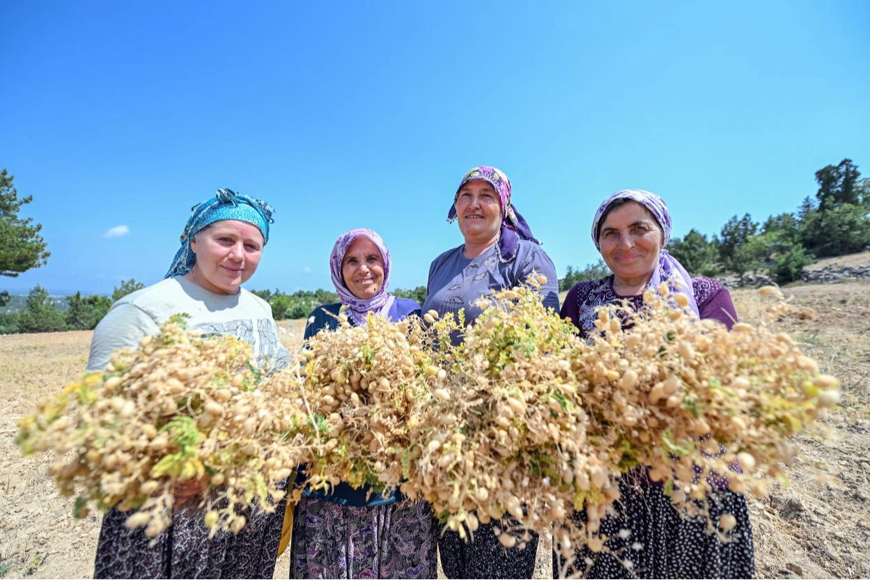 Mersin Büyükşehir Belediyesi Tarımsal Hizmetler Dairesi Başkanlığı, ata tohumlarının korunması