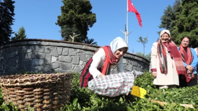 Aile ve Sosyal Hizmetler Bakanı Mahinur Özdemir Göktaş, “Aile Yılı”