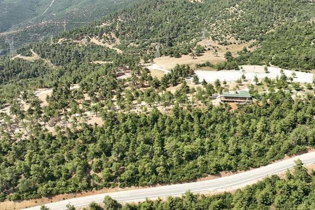 Bursa Gürsu’daki yangın faciasında, 80 dönümlük mesire alanı içinde yer